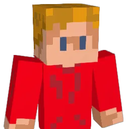 Nole1452 Minecraft avatar bust