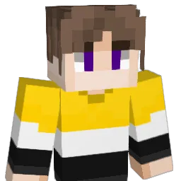 NomitT's Minecraft skin