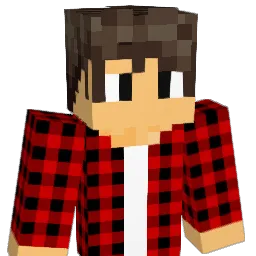 Nomuas Minecraft avatar bust