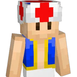 NonSequiturer Minecraft avatar bust