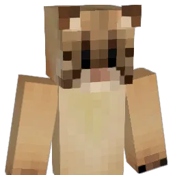 Noodles903 Minecraft avatar bust