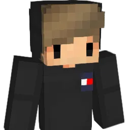 Nooooaaahh Minecraft avatar bust