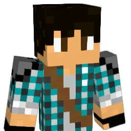 Nopro1134 Minecraft avatar bust