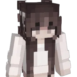 Noryyypoo Minecraft avatar bust