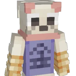 NotBray's Minecraft skin