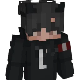 NotCh1lean_