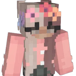 NotDeficon