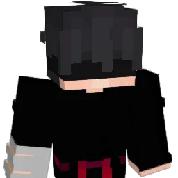 NotDivyam Minecraft avatar bust