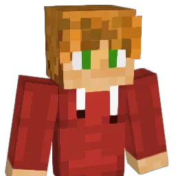 NotFlapz's Minecraft skin