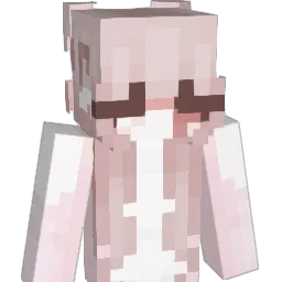 NotGlubber Minecraft avatar bust