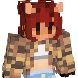 NotHrVy Minecraft avatar bust