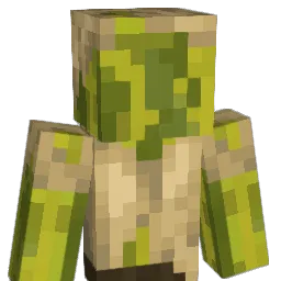 NotMyJewels Minecraft avatar bust