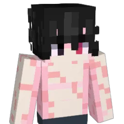 NotNicoYYT's Minecraft skin