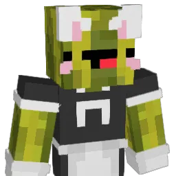 NotNuits Minecraft avatar bust