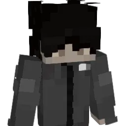 NotPanda_ Minecraft avatar bust