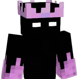 NotPxrty's Minecraft skin