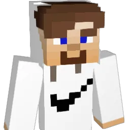 NotScan Minecraft avatar bust