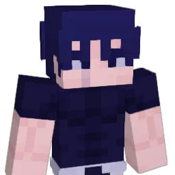 NotSeals's Minecraft skin