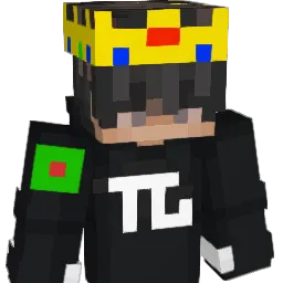 NotTamim_'s Minecraft skin