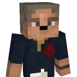 NotToeBee's Minecraft skin