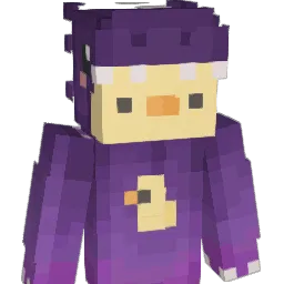 NotWyn_'s Minecraft skin