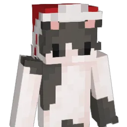 NotXr1s Minecraft avatar bust