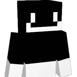 Not_Chrissy Minecraft avatar bust