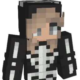 Not_DryOutBing Minecraft avatar bust