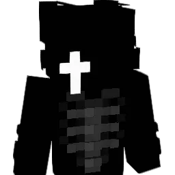 Not_Knownn1 Minecraft avatar bust