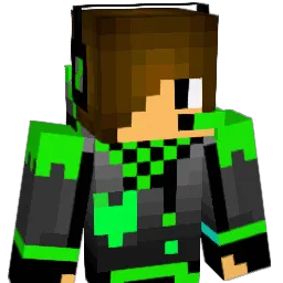 Not_R3ga Minecraft avatar bust