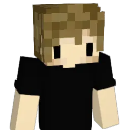 Not_SnowMan Minecraft avatar bust