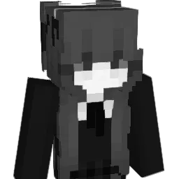 Not_TW_'s Minecraft skin