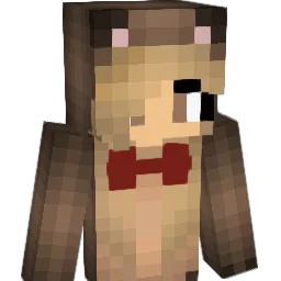 Not_Tee_Bear Minecraft avatar bust
