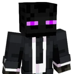 Not__007 Minecraft avatar bust