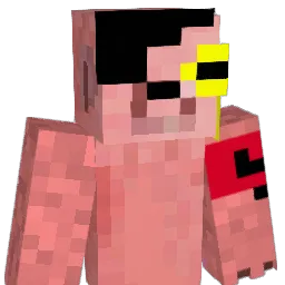 NoteHeiler63888 Minecraft avatar bust
