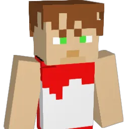 NothinButNet217 Minecraft avatar bust