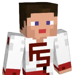 NothingUS Minecraft avatar bust
