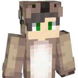 Notwojeq_'s Minecraft skin