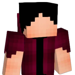 Nouvre Minecraft avatar bust