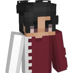 NovaNinja1 Minecraft avatar bust
