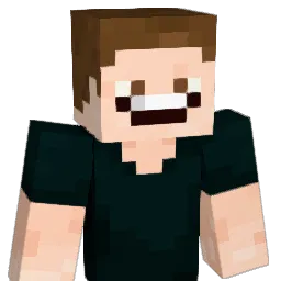 Novez Minecraft avatar bust