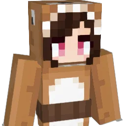 Npc_1355's Minecraft skin