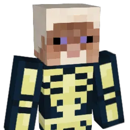 Nsblue11 Minecraft avatar bust