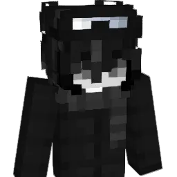 Nsc_T Minecraft avatar bust