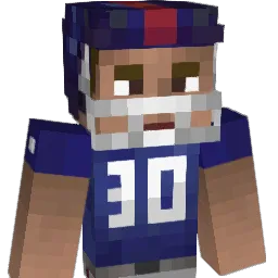 NuclearHamburger Minecraft avatar bust