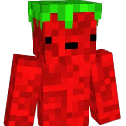 Nugget1134 Minecraft avatar bust