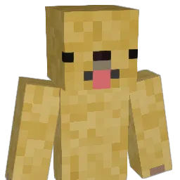 NuggetDoge Minecraft avatar bust