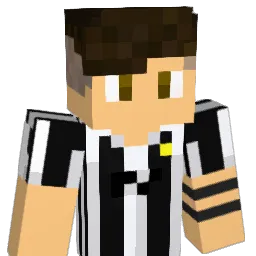 Num10SurLeRainte Minecraft avatar bust