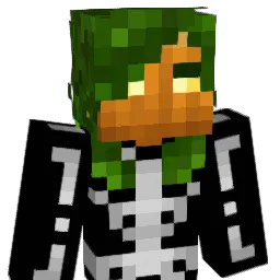 NumerousNachos Minecraft avatar bust