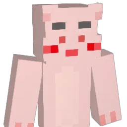 Nung5 Minecraft avatar bust